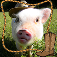 a pig wearing a cowboy hat